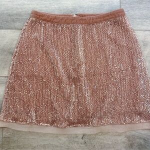 Free People Rose Sequin Mesh Wild Child Skirt Size 6 Zip Up Lined